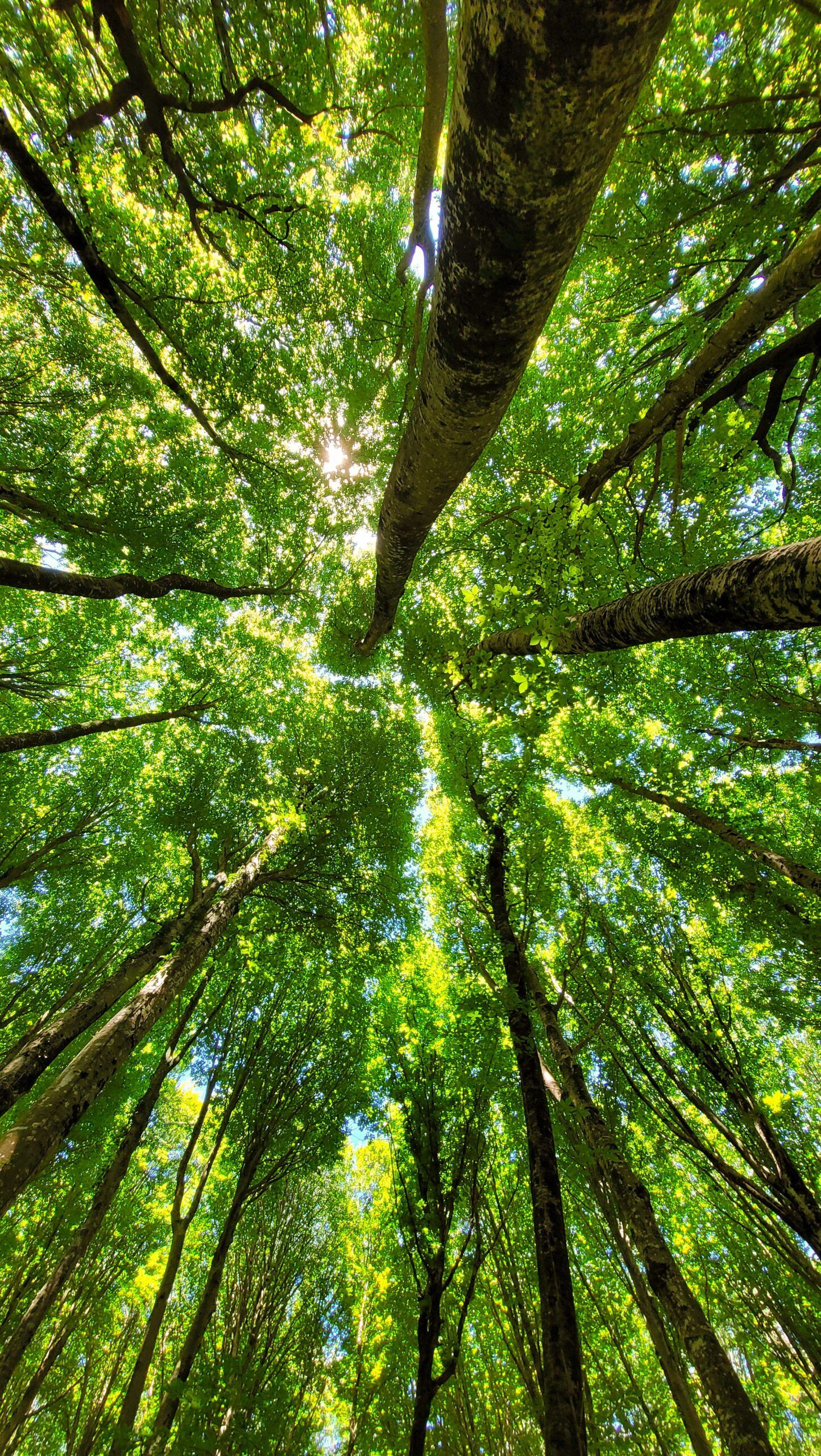 Medioambiente y conciencia ecológica